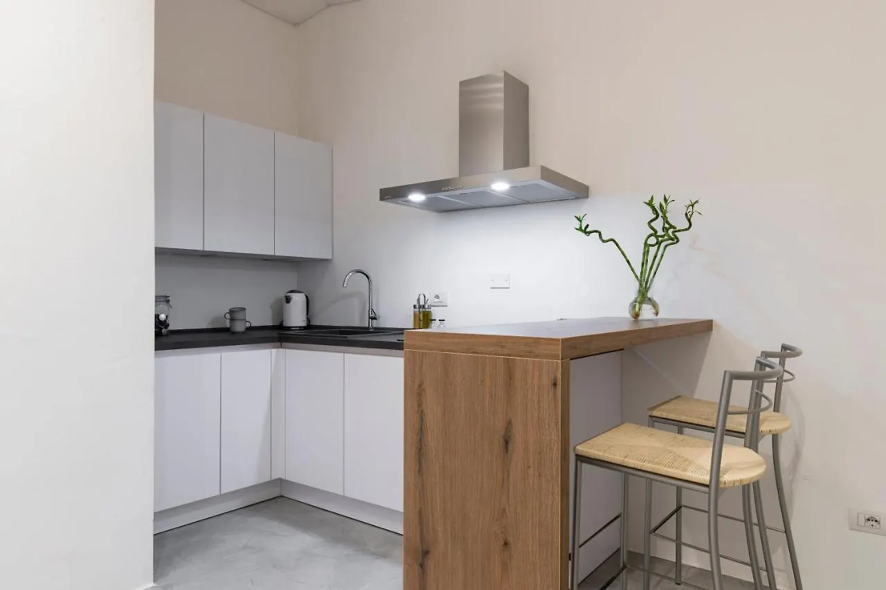 피렌체 San Frediano Loft 아파트